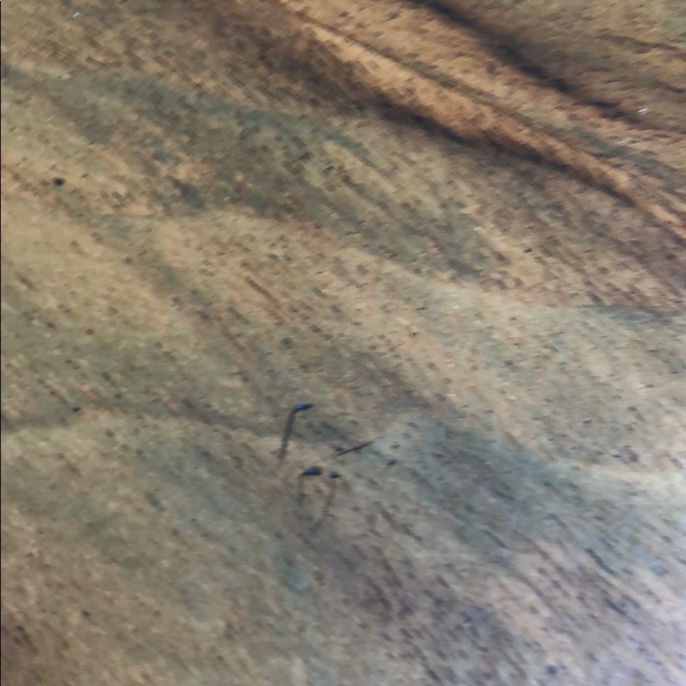 Meet your Posher, Deborah